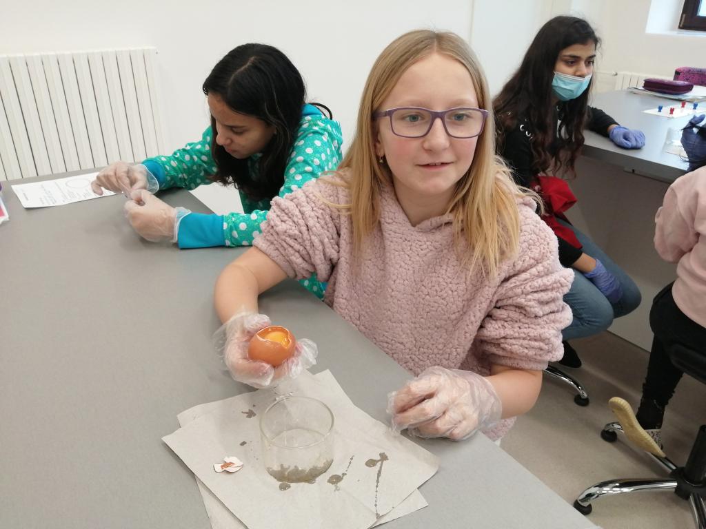 Laboratorní práce - rozbor ptačího vejce - stavba a složení, 11. 2. 2022