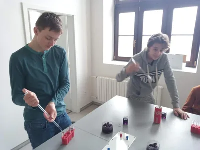 pH indikátor z červeného zelí, 18. 2. 2022