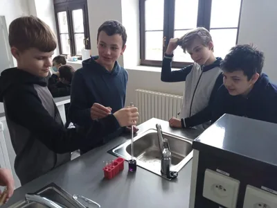 pH indikátor z červeného zelí, 18. 2. 2022