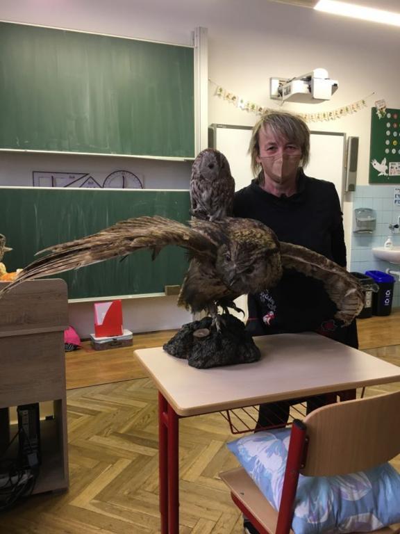Projekt: Máme rádi zvířata aneb pomáháme Karlovi - Kulíškovi nejmenšímu, 3. 2. 2022
