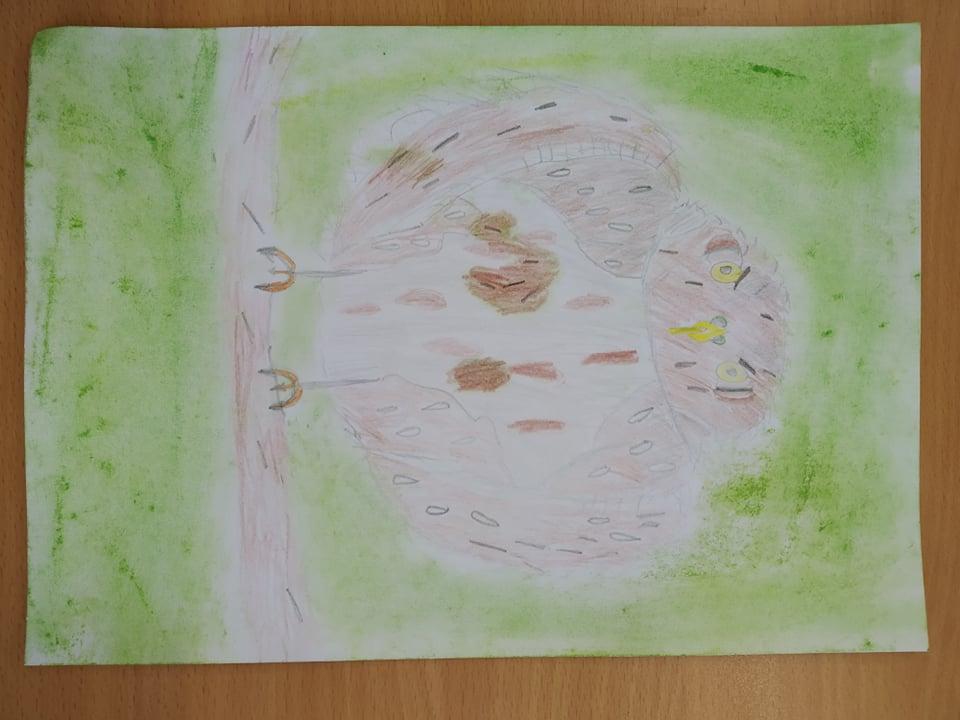 Projekt Máme rádi zvířata aneb pomáháme Kulíškovi nejmenšímu Karlovi, 3. 2. 2022