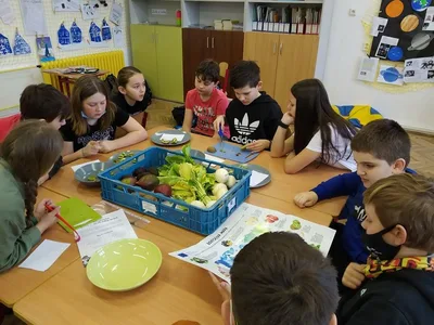 Ochutnávka ovoce aneb ovocné a zeleninové zlomky v matematice, 11. 3. 2022