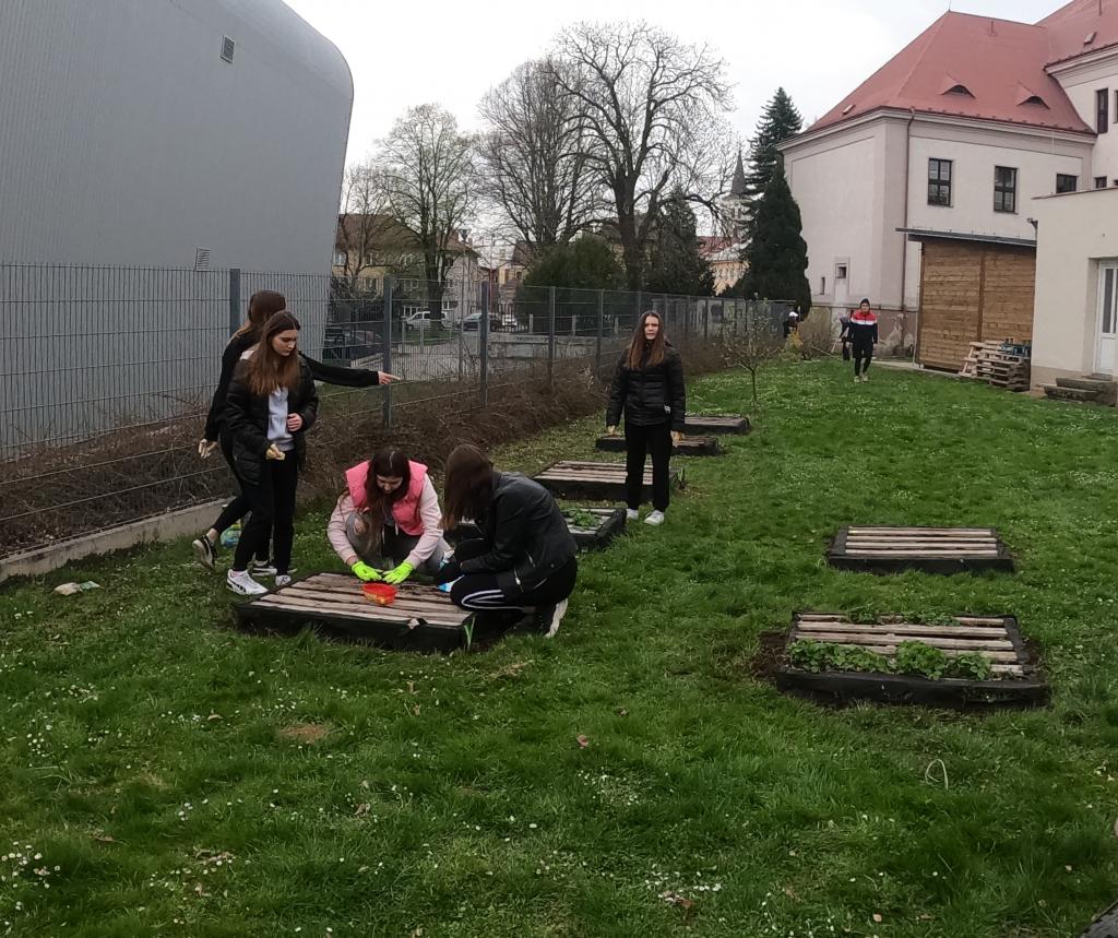 Sázení stromů na Den Země, 22. 4. 2022