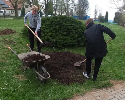 Sázení stromů na Den Země, 22. 4. 2022