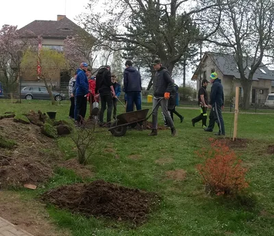 Sázení stromů na Den Země, 22. 4. 2022