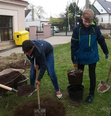Sázení stromů na Den Země, 22. 4. 2022