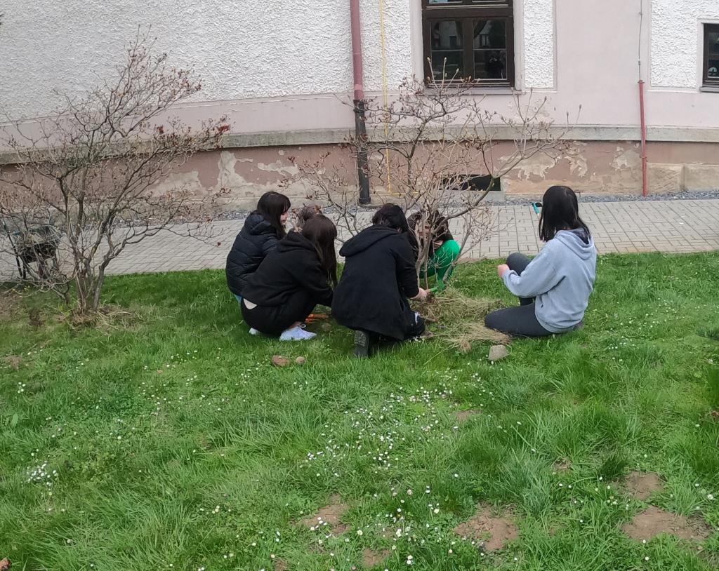 Sázení stromů na Den Země, 22. 4. 2022