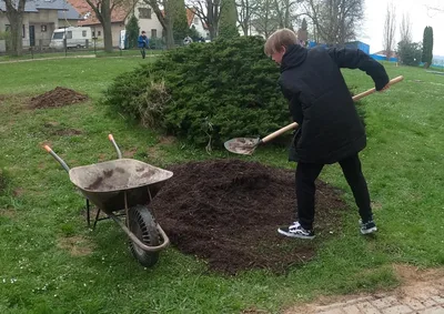 Sázení stromů na Den Země, 22. 4. 2022