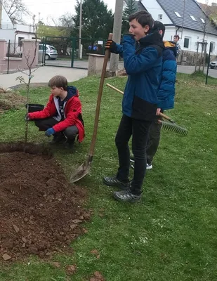 Sázení stromů na Den Země, 22. 4. 2022