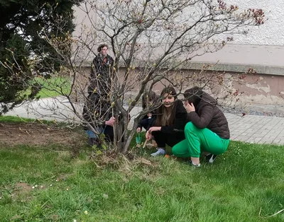 Sázení stromů na Den Země, 22. 4. 2022