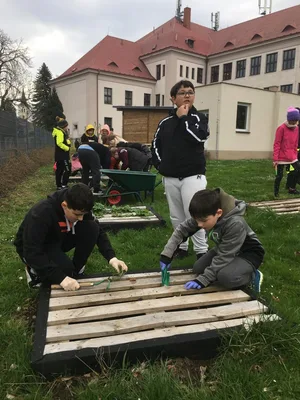 Zdravá planeta - Projekt ke Dni Země, 22. 4. 2022
