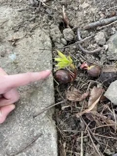Jaro na školní zahradě, 2. 5. 2022
