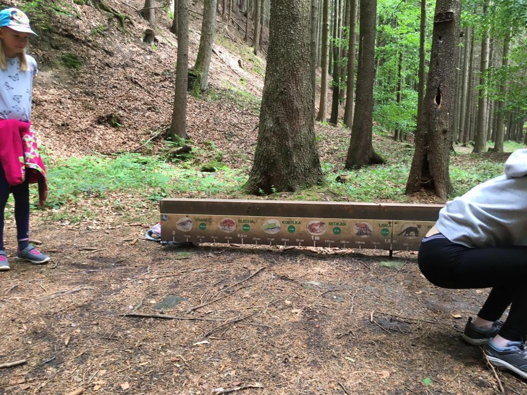 Škola v přírodě - den čtvrtý, 26. 5. 2022