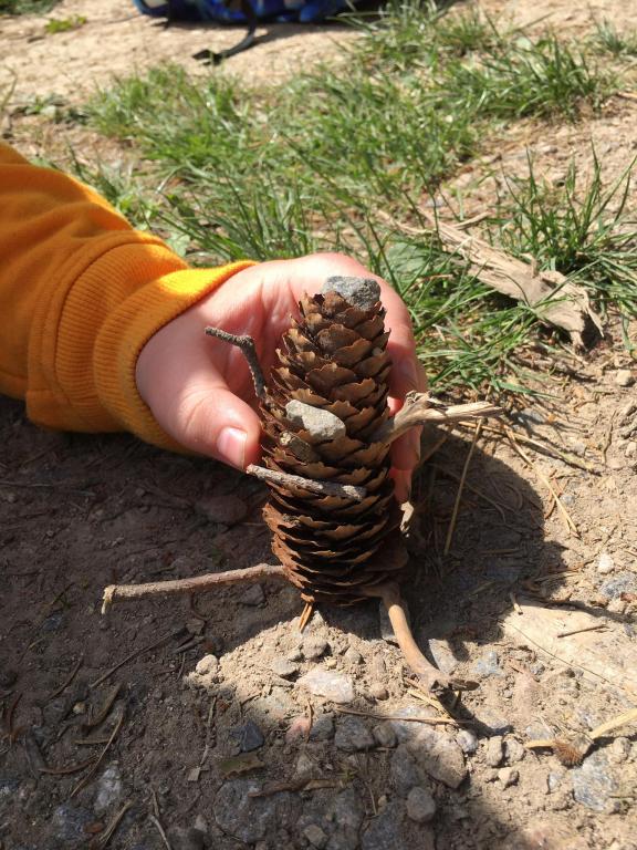 Škola v přírodě - den první: Vycházka po okolí, tvorba mandal a obrázků z přírodnin, pojmenování a kresba týmů, sportovní hry., 23. 5. 2022