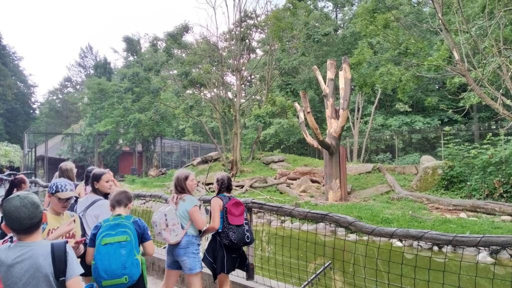 Školní výlet do ZOO Dvůr Králové, 20. 6. 2022