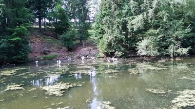 Školní výlet do ZOO Dvůr Králové, 20. 6. 2022