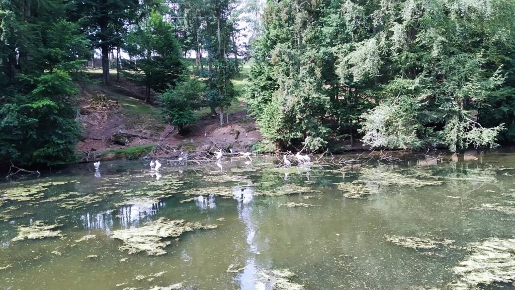 Školní výlet do ZOO Dvůr Králové, 20. 6. 2022