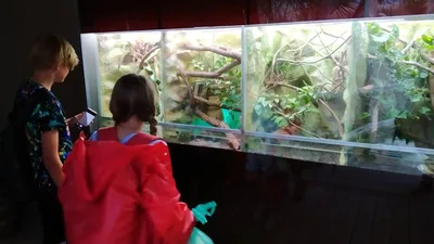 Školní výlet do ZOO Dvůr Králové, 20. 6. 2022