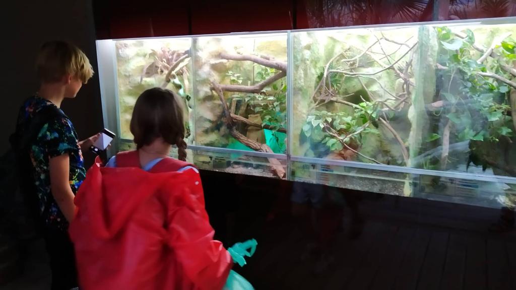 Školní výlet do ZOO Dvůr Králové, 20. 6. 2022