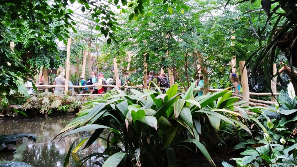Školní výlet do ZOO Dvůr Králové, 20. 6. 2022