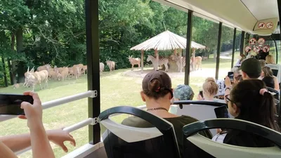 Školní výlet do ZOO Dvůr Králové, 20. 6. 2022