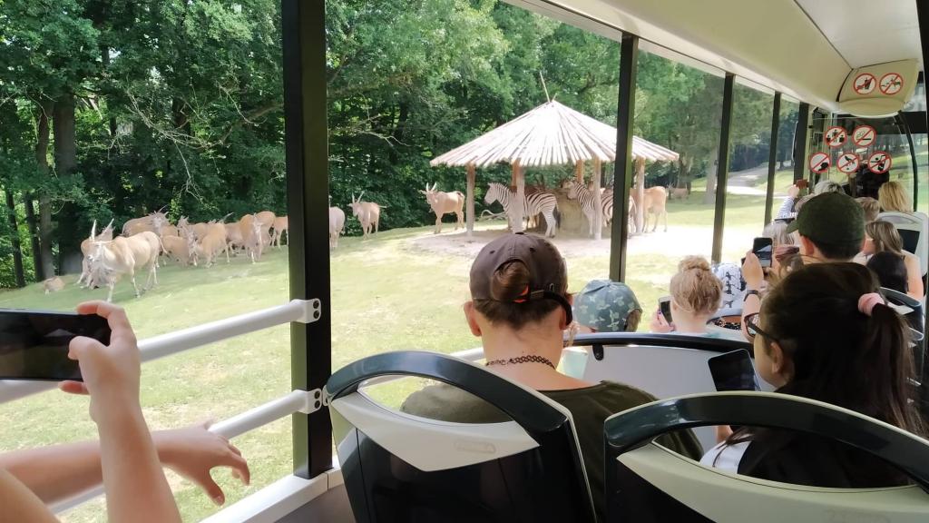 Školní výlet do ZOO Dvůr Králové, 20. 6. 2022