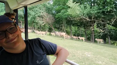 Školní výlet do ZOO Dvůr Králové, 20. 6. 2022