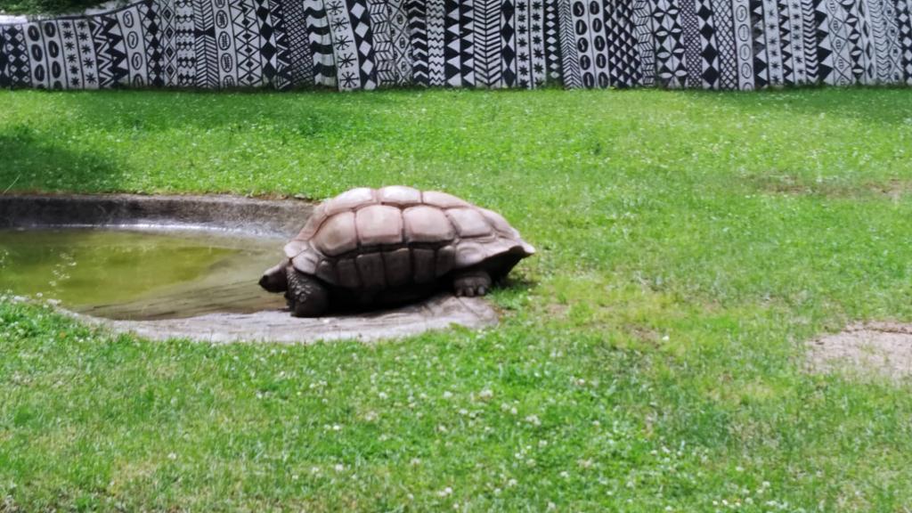 Školní výlet do ZOO Dvůr Králové, 20. 6. 2022