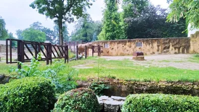 Školní výlet do ZOO Dvůr Králové, 20. 6. 2022
