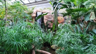 Školní výlet do ZOO Dvůr Králové, 20. 6. 2022