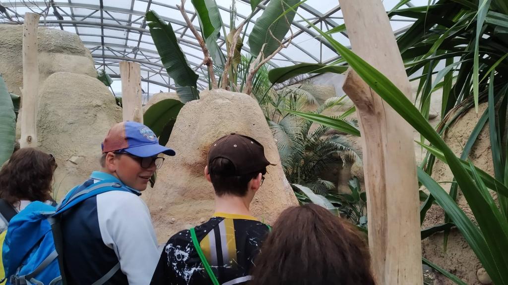 Školní výlet do ZOO Dvůr Králové, 20. 6. 2022