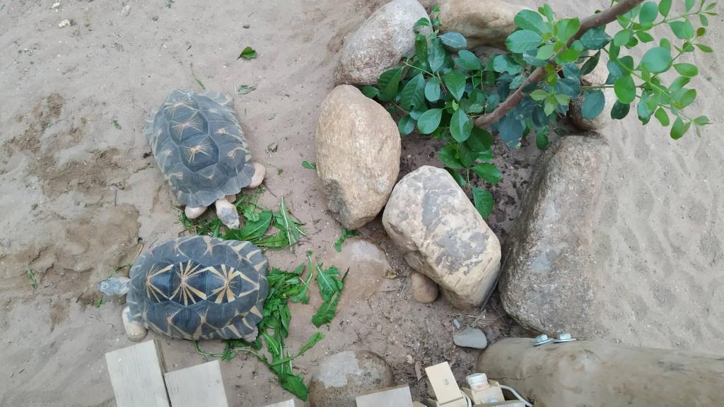 Školní výlet do ZOO Dvůr Králové, 20. 6. 2022