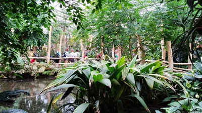 Školní výlet do ZOO Dvůr Králové, 20. 6. 2022