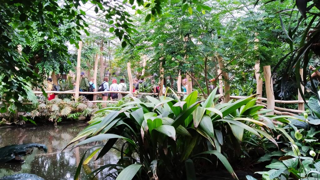 Školní výlet do ZOO Dvůr Králové, 20. 6. 2022