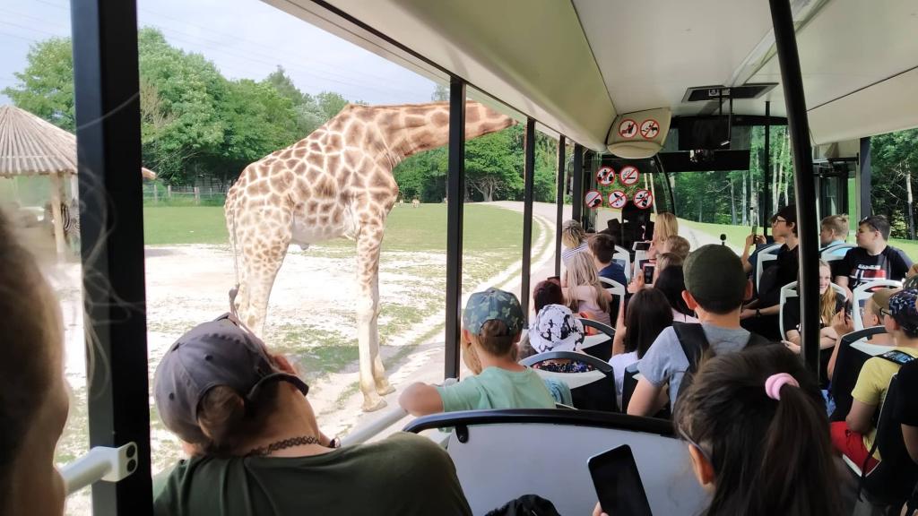 Školní výlet do ZOO Dvůr Králové, 20. 6. 2022