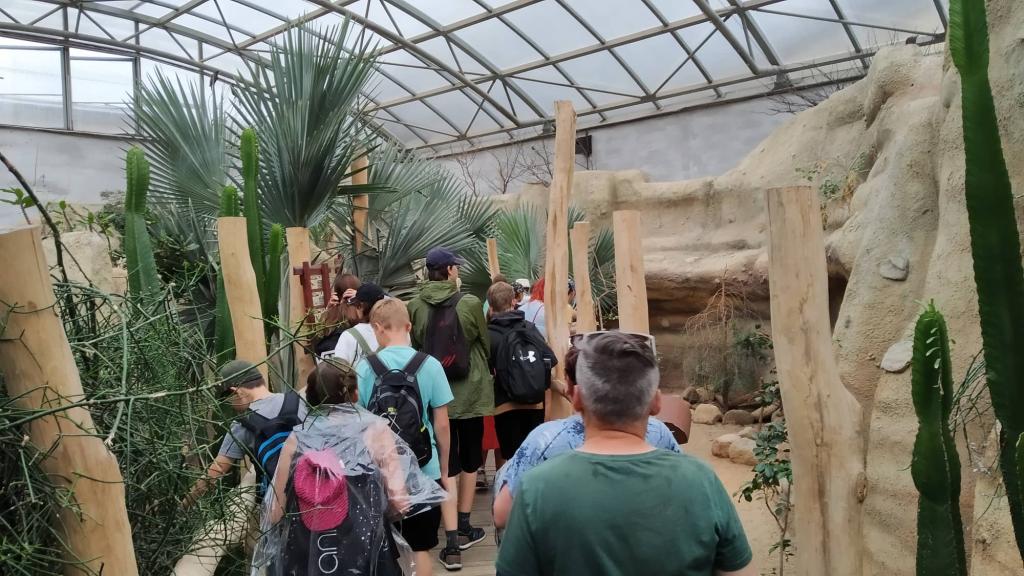 Školní výlet do ZOO Dvůr Králové, 20. 6. 2022
