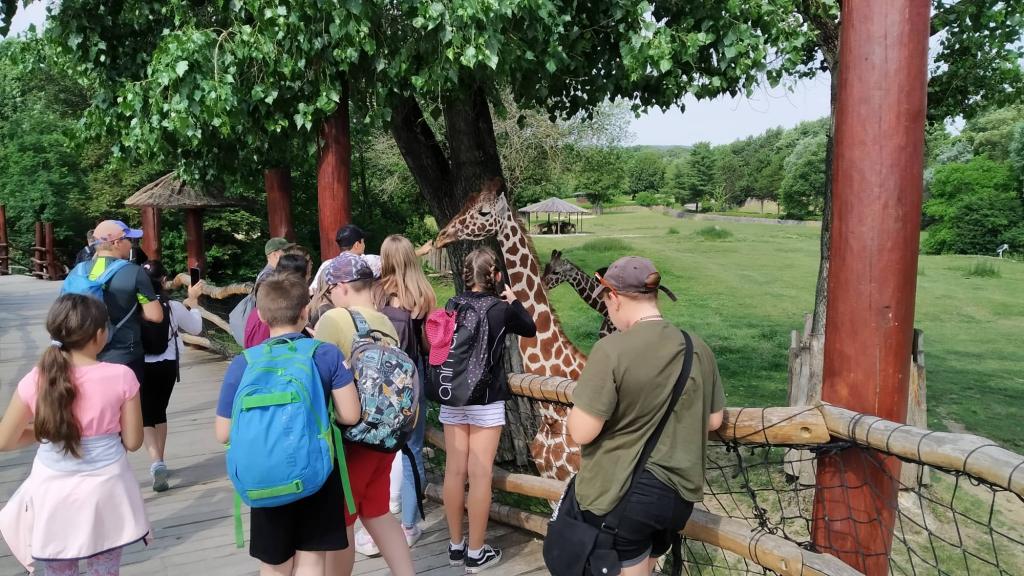 Školní výlet do ZOO Dvůr Králové, 20. 6. 2022