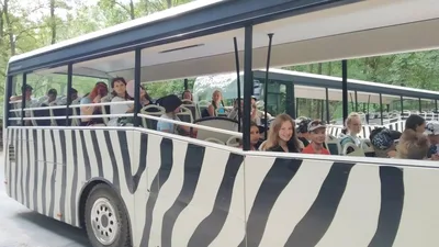 Školní výlet do ZOO Dvůr Králové, 20. 6. 2022