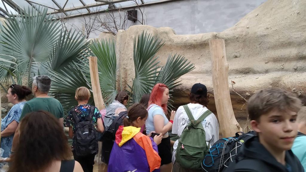 Školní výlet do ZOO Dvůr Králové, 20. 6. 2022