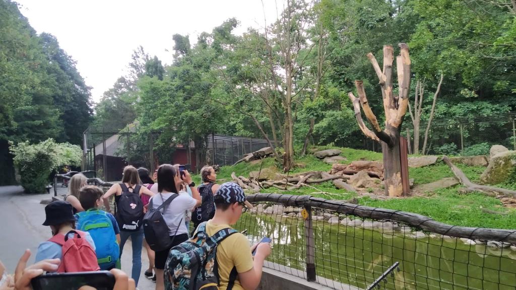 Školní výlet do ZOO Dvůr Králové, 20. 6. 2022