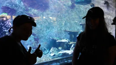 Školní výlet ZOO Dvůr Králové, 21. 6. 2022