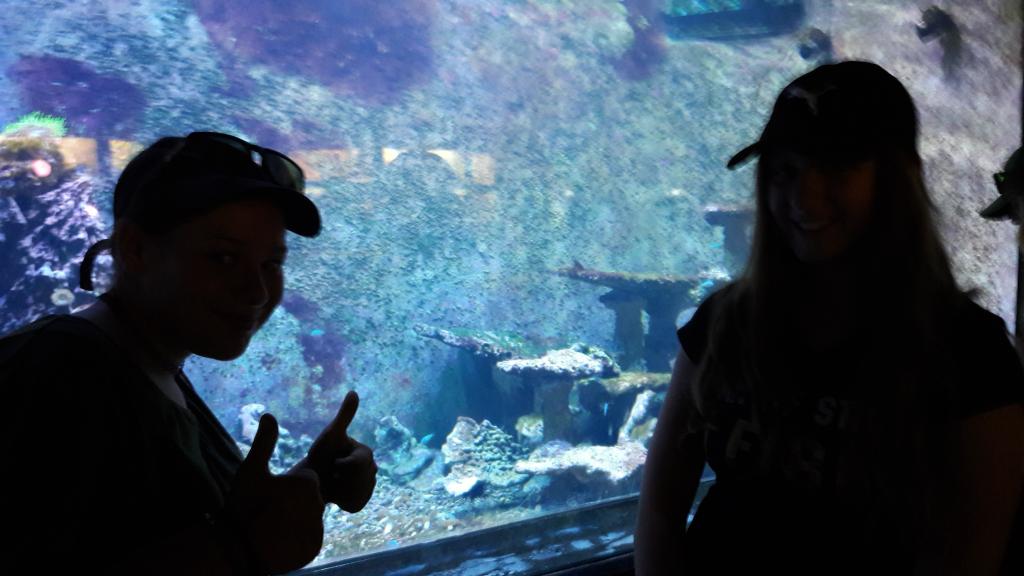 Školní výlet ZOO Dvůr Králové, 21. 6. 2022