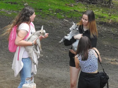 ZOO Olomouc, 28. 6. 2022