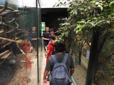 ZOO Olomouc, 28. 6. 2022