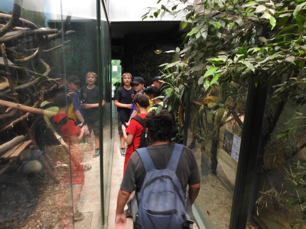 ZOO Olomouc, 28. 6. 2022