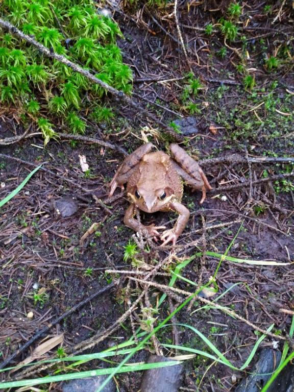 Náš svět - vyhodnocení třídní soutěže: Fotografie podzimní přírody - Život v podzimní přírodě, 6. 10. 2022