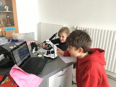 Přírodopis: Laboratorní práce, 3. 11. 2022