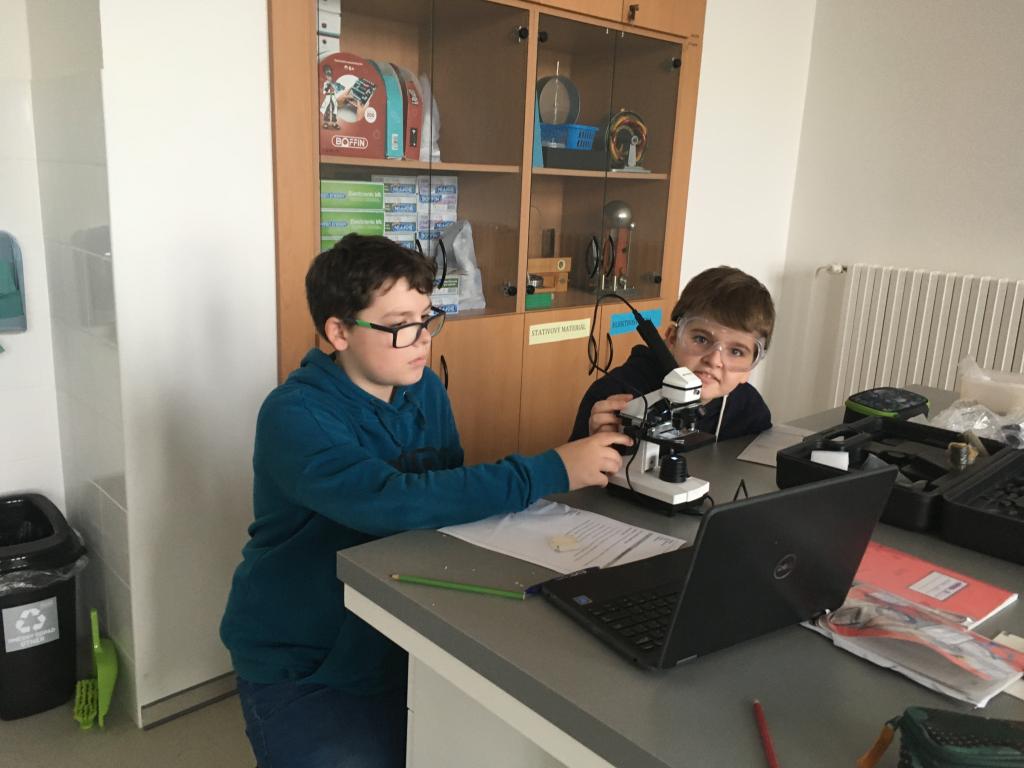 Přírodopis: Laboratorní práce, 3. 11. 2022