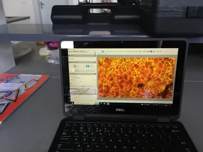 Přírodopis: Laboratorní práce, 3. 11. 2022