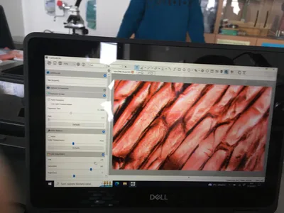 Přírodopis: Laboratorní práce, 3. 11. 2022